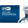 ESET Secure Enterprise (Volume up to 100 to 999)