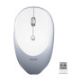 Meetion MT R600 Wireless Optical Mouse (Gray)