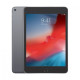 Apple iPad Mini 5 7.9 inch MUXC2ZP/A Wi-Fi and Cellular 256GB Space Gray