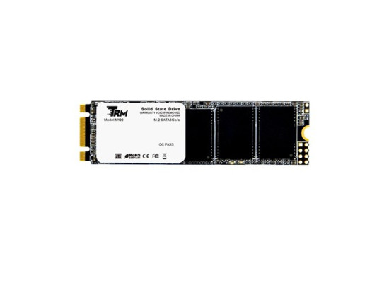 TRM M100 256GB M.2 SATA III 2280 SSD